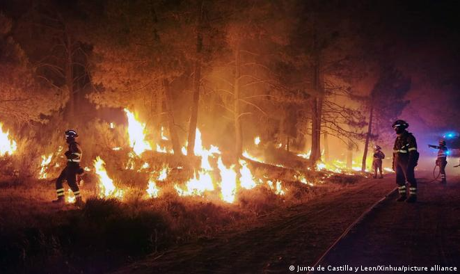 Incêndio florestal se aproxima de trem e fere vários passageiros que abandonaram veículo em pânico. Incidente no leste espanhol ocorre em meio a severa onda de calor e seca que atinge a Europa