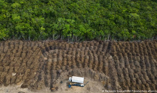 Foram 15,5 mil km² devastados, o equivalente a 40% da perda registrada no mundo, segundo a Global Forest Watch
