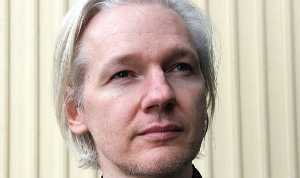 Nils Meizer, em artigo, escreveu que encontrou evidências de que Julian Assange é vítima de perseguição política e arbitrariedade judicial, bem como tortura deliberada e maus-tratos