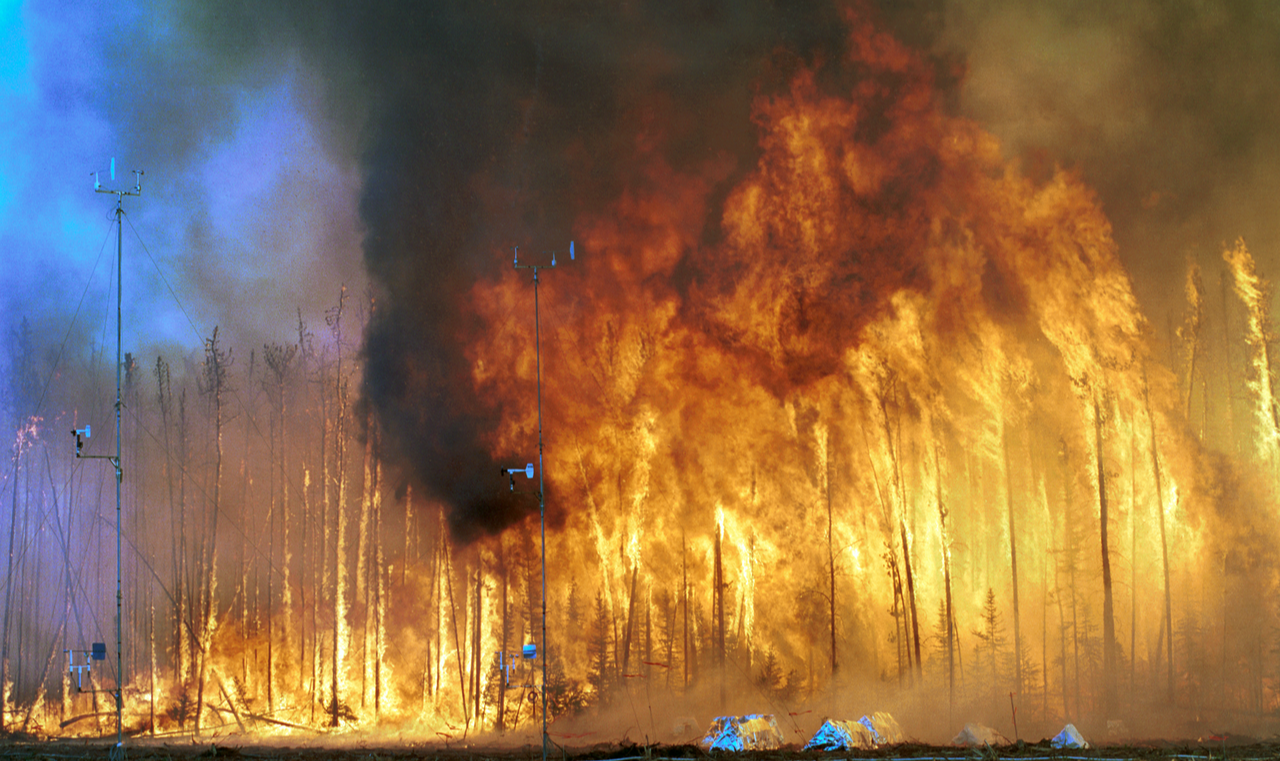 Desde o início do ano, 4,6 milhões de hectares já foram queimados em território canadense, um total bem acima da média das últimas décadas