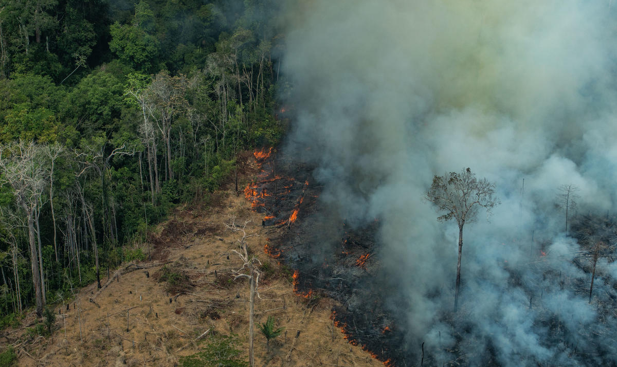 'Este cancelamento foi justificado em função de notícias relacionando queimadas na região amazônica ao agronegócio do país', diz Centro das Indústrias de Curtumes do Brasil