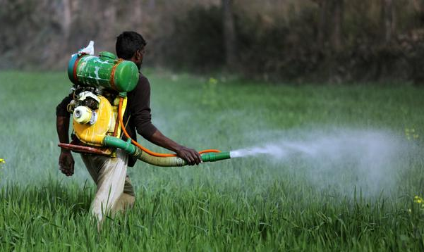 Trabalho de grupos ambientalistas alemães aponta que Brasil é o terceiro país que mais usa defensivos agrícolas, vários deles altamente perigosos. Pesticidas intoxicam 400 mil de agricultores por ano no mundo.