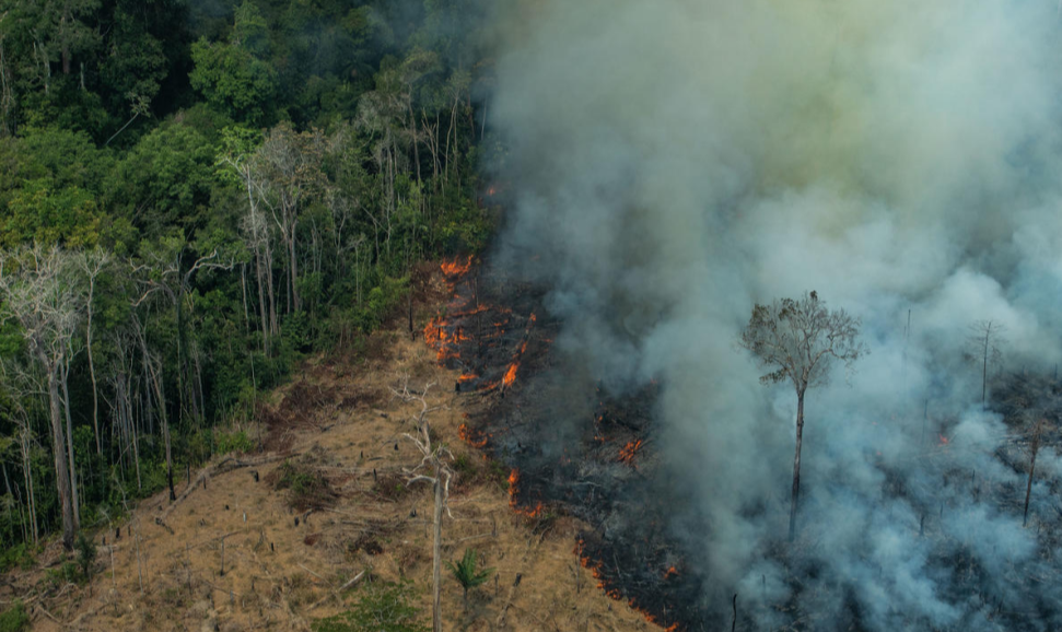 Pesquisador do Imazon avalia que 'são paliativas' ações do governo contra queimadas; entre 2012 e 2018, a taxa de desmatamento na região aumentou 71%