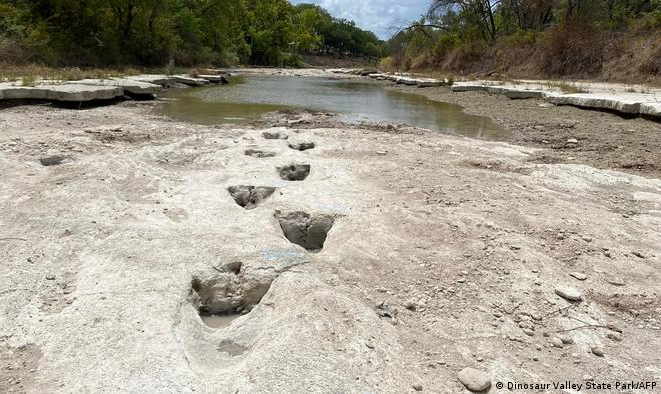 Pegadas de Acrocantossauro, que viveu há 113 milhões de anos, surgiram no leito de um rio no estado norte-americano