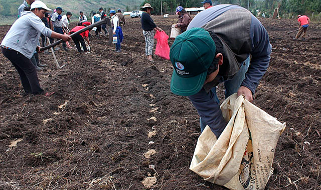 Projeto busca fortalecer 'segunda reforma agrária' através de acesso a tecnologia, fertilizantes e sementes