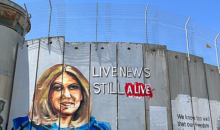 'Tese de que Shireen foi morta por engano em troca de golpes é infundada', apontam novas provas para caso de jornalista assassinada por exército israelense