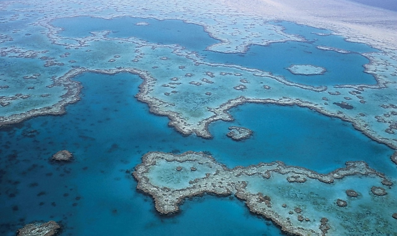 Patrimônio da Humanidade desde 1981, Grande Barreira de Corais australiana é ameaçada por mudanças climáticas