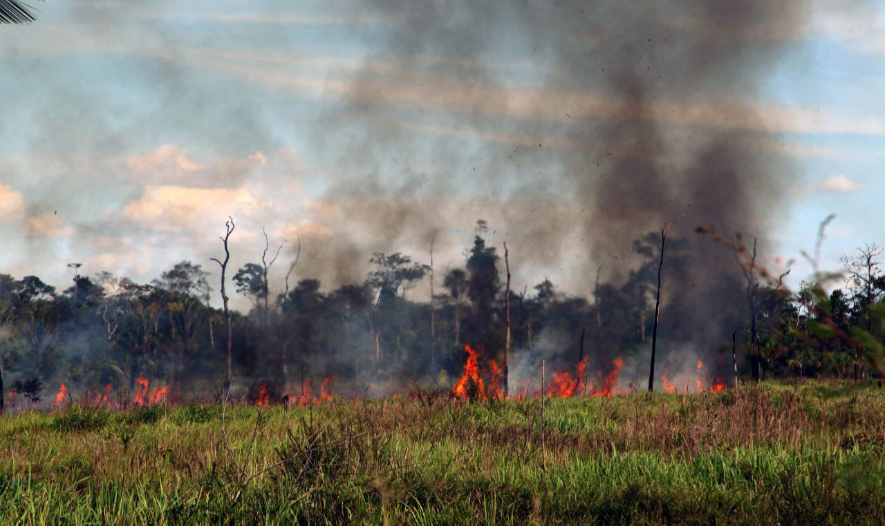 Documento sugere que governo de Jair Bolsonaro comprove atuação na defesa do meio ambiente para que 'polêmicas' em relação às queimadas sejam esclarecidas