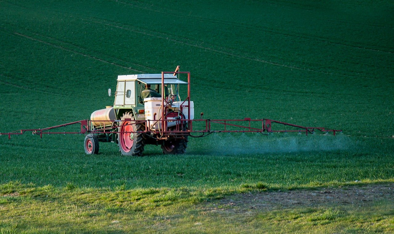 Governo ordenou que o herbicida e o milho geneticamente modificado sejam trocados por alternativas saudáveis