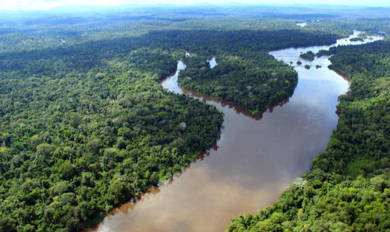 Segundo o Imazon, satélite detectou 583 quilômetros quadrados de destruição na Amazônia Legal em outubro passado