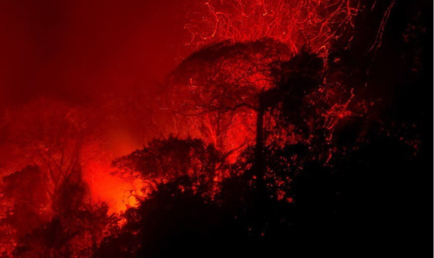Araquém Alcântara registra a floresta desde os anos 1980 e diz estar revoltado com queimadas: 'é preciso elevar o tom'