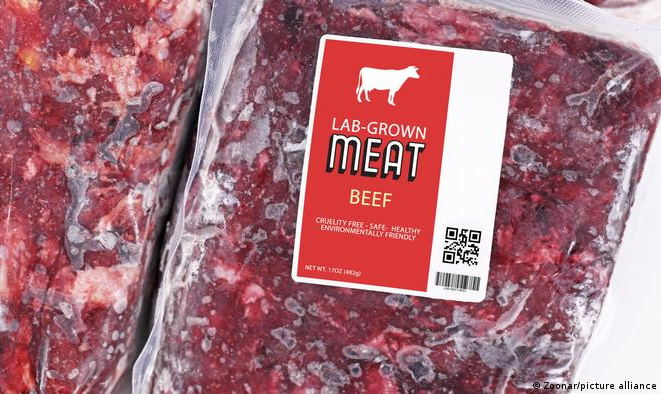 Projeto de lei do Executivo liderado pela ultradireita proíbe produção e venda de alimentos feitos em laboratório, mirando em especial a carne; proposta ainda precisa passar pelo Parlamento.
