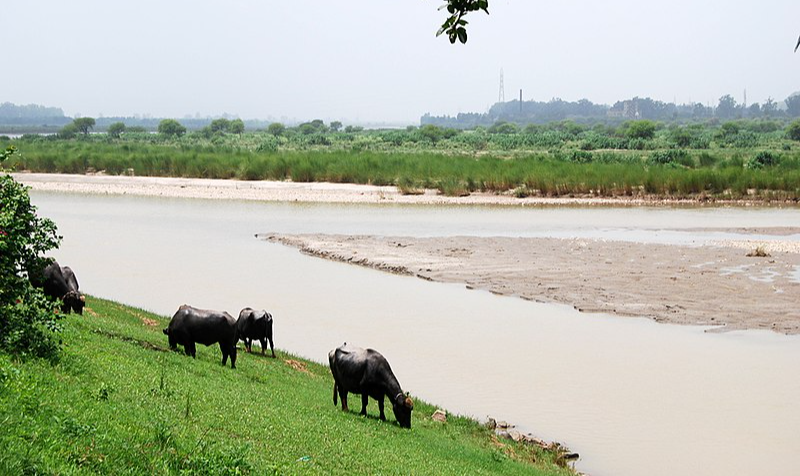 Centenas de aldeias de Punjab, centro-leste do Paquistão, estão submersas devido ao aumento no nível do rio Sutlej desde domingo (20/08)
