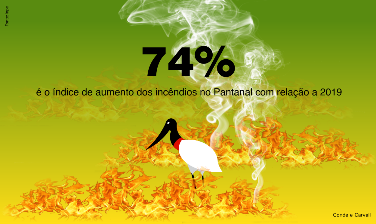 Em relação a 2019, os focos de incêndios na região do Pantanal tiveram um aumento de 74%