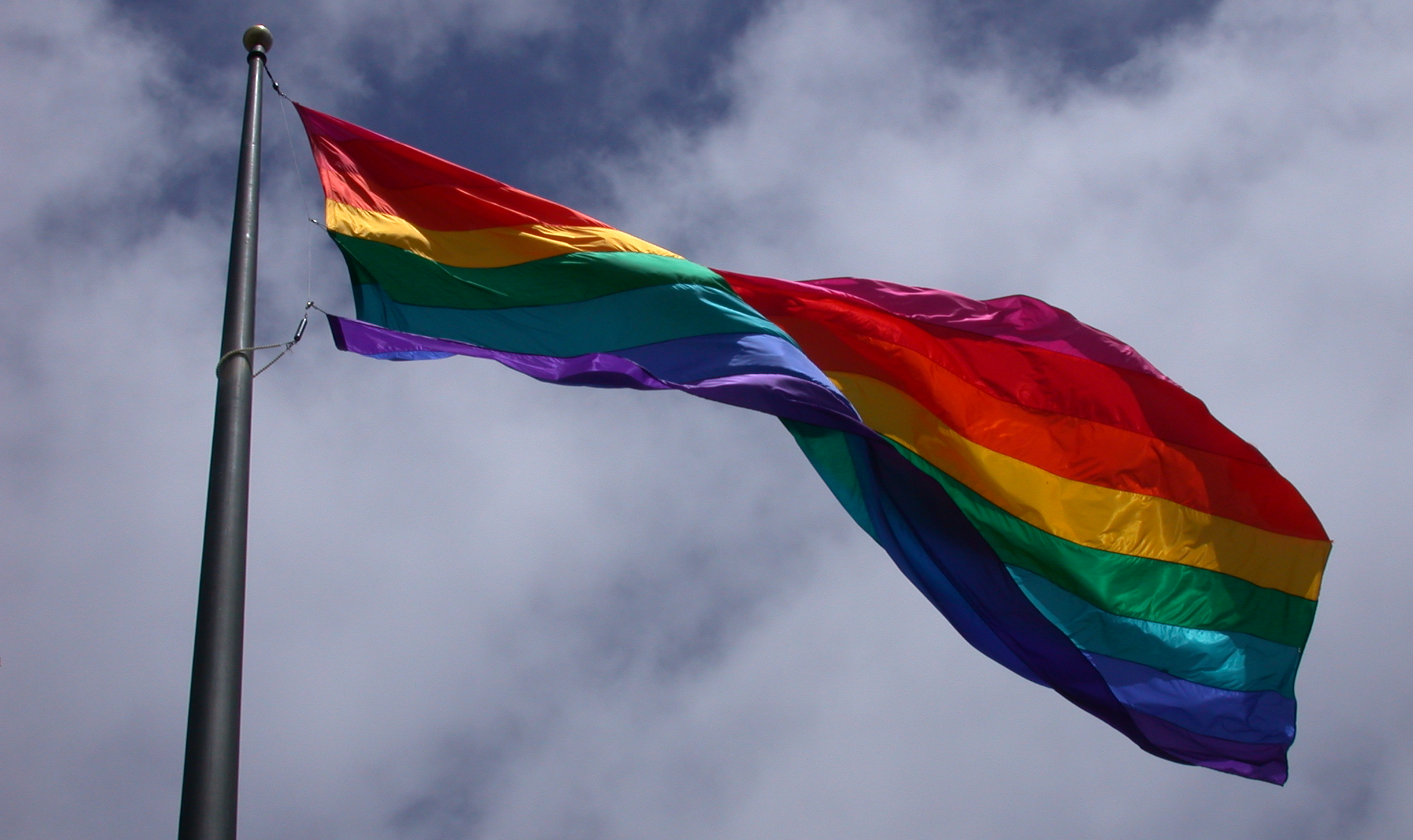 Após extensa batalha legal, Tribunal Constitucional desafia tradições conservadoras no país e reconhece direitos civis dos casais homossexuais