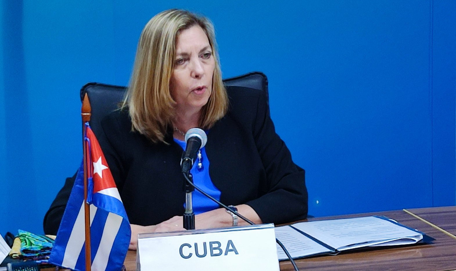Vice-ministra da chancelaria cubana afirmou que o país segue os acordos para garantir uma migração 'regular, segura e ordenada'