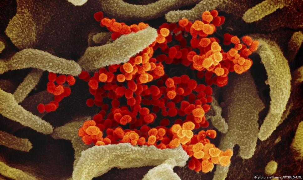 Meio ano se passou desde que o novo coronavírus foi anunciado na China. O que se sabe até agora?