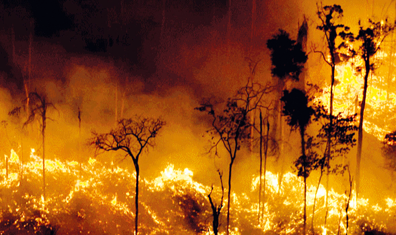 Dados do Monitor do Fogo do MapBiomas contabilizam 16,3 milhões de hectares queimados entre janeiro e dezembro de 2022