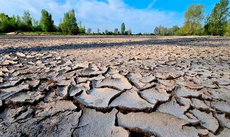 Ministro da Transição Ecológica do país relatou que chuvas da primavera no hemisfério norte chegaram tarde demais e não puderam recarregar lençóis freáticos