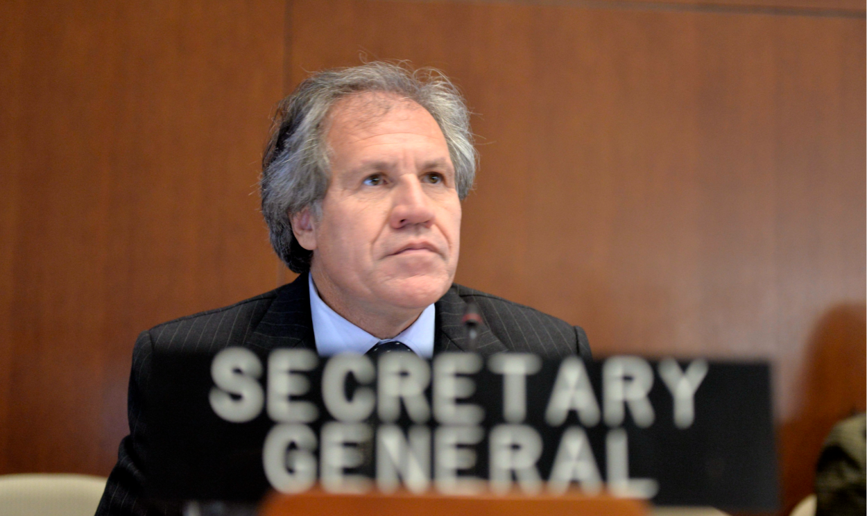 Luis Almagro validou uma análise da Organização dos Estados Americanos sobre as eleições bolivianas de 2019;  'processo unilateral', disse o governo