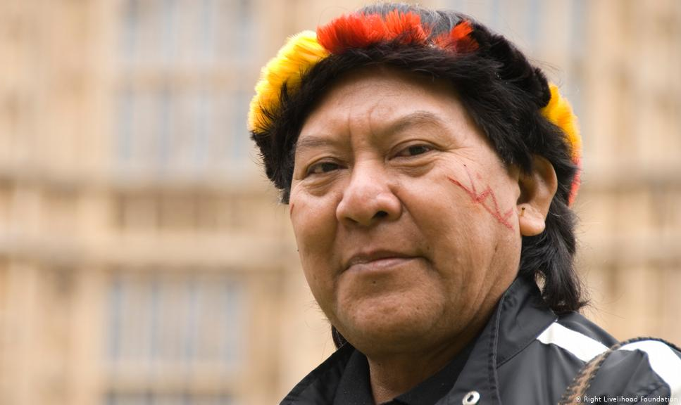 Brasileiro ameaçado de morte é homenageado por sua luta contra o desmatamento da Amazônia e a pela proteção de povos indígenas; além da ambientalista sueca, ativistas de Marrocos e China estão entre os ganhadores