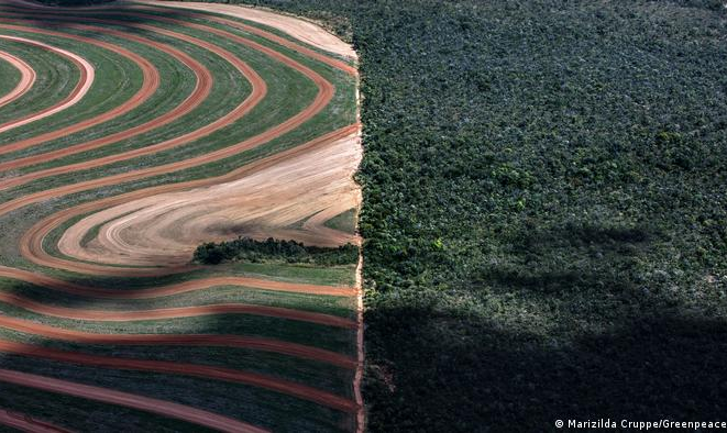 Relatório afirma que empresas europeias já gastaram 2 milhões de euros em apoio ao lobby do agronegócio no Brasil.