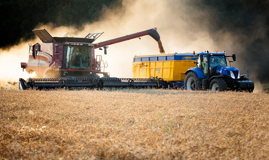 Juntas, Rússia e Ucrânia produzem um terço do trigo mundial; conflito armado em Kiev prejudicou o equilíbrio alimentar global