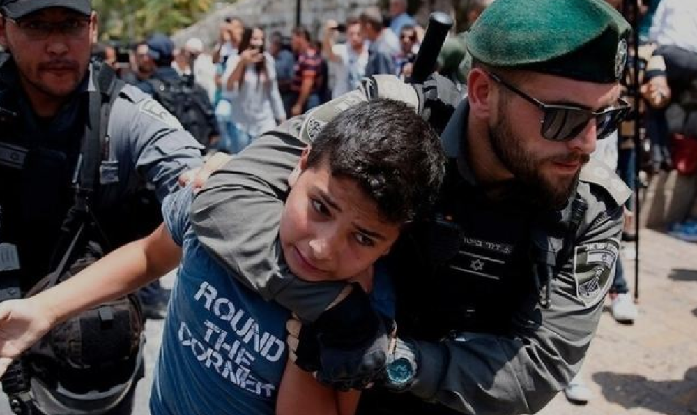 Human Rights Watch aponta que estatística letal já empata com a de 2022 e pede providências aos países aliados de Israel