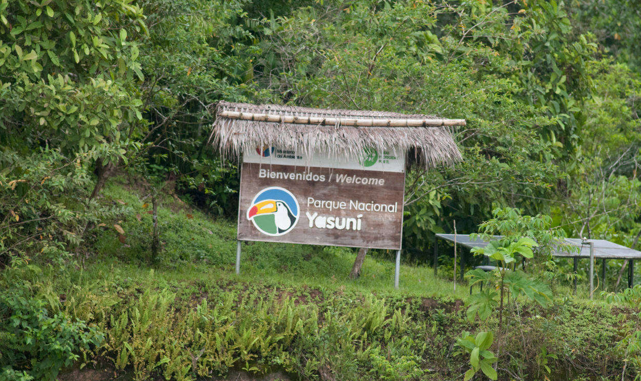 Equatorianos vão às urnas para eleições presidenciais antecipadas e também sobre futuro do Parque Yasuni