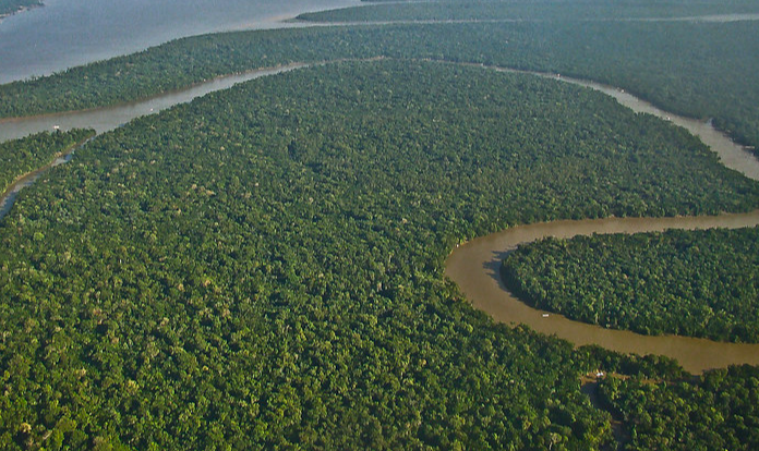 Para o climatologista Carlos Nobre, o Brasil regrediu décadas em termos de política para Amazônia sob Bolsonaro