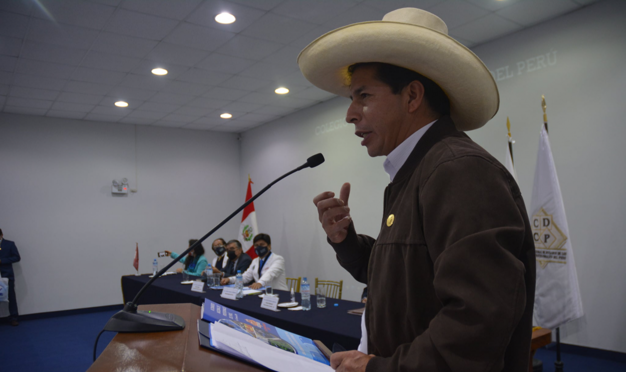 Organização afirma que 'existem evidências contundentes' de que o candidato do Peru Livre obteve maioria no pleito; Castillo aguarda confirmação oficial