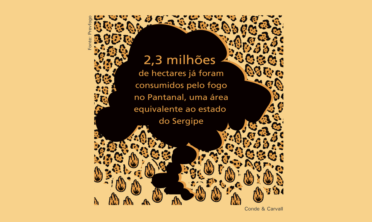 2,3 milhões de hectares já foram consumidos pelo fogo no Pantanal, uma área equivalente ao estado do Sergipe