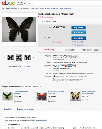 Anúncio no eBay em abril de exemplar da Papilio elephenor, borboleta rara encontrada no norte da Índia, à venda por 20 mil dólares