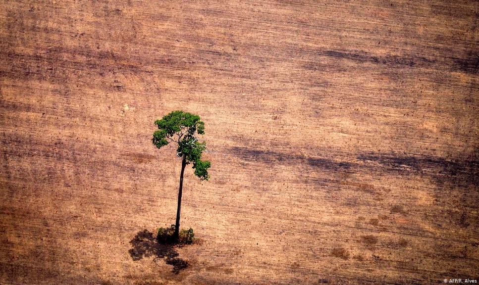 Grandes ecossistemas como a Floresta Amazônica poderão alcançar ponto sem retorno e desaparecer mais rápido do que se previa, devido a mudanças climáticas, desmatamento e poluição, afirmam cientistas