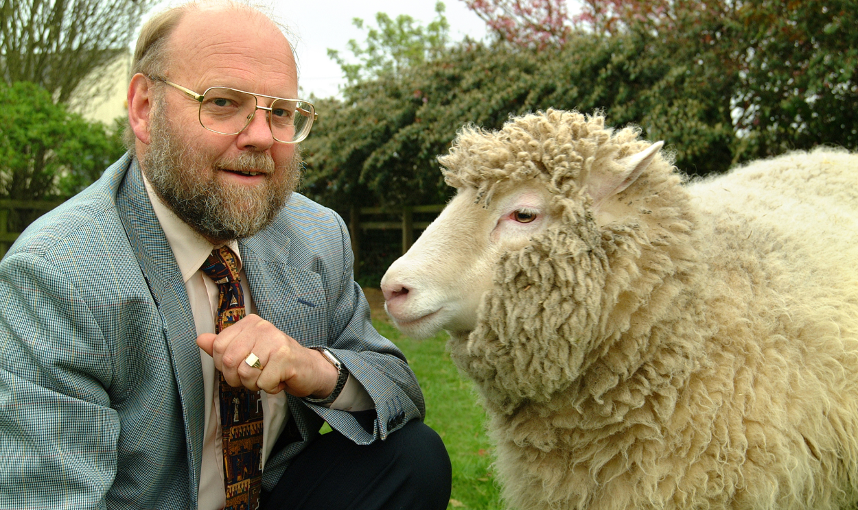 Apesar das suas origens, Dolly teve uma vida comum de ovelha e deu à luz dois filhotes; ela foi sacrificada em 2003