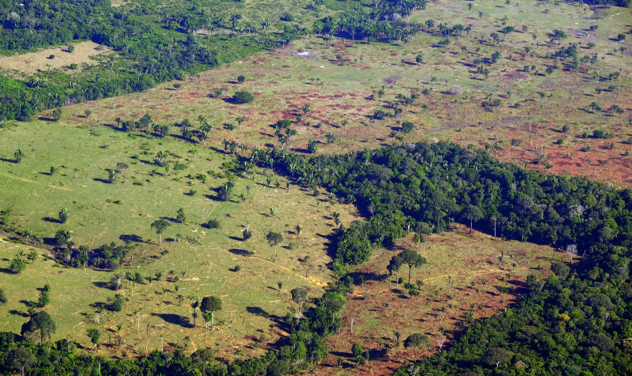 Principal objetivo do encontro é estabelecer metas comuns para acabar com devastação da floresta e avançar em medidas de desenvolvimento regional sem agressões ambientais