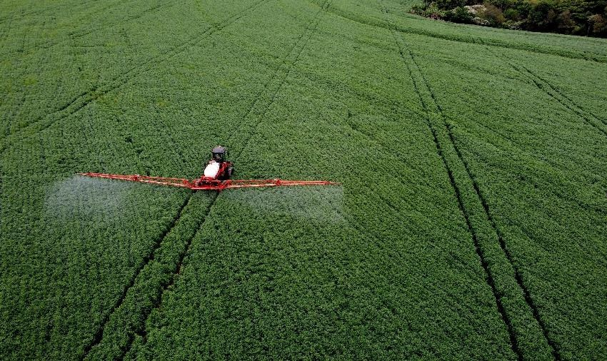 Por segurança alimentar, América Latina se une na OMC e quer reforma agrícola