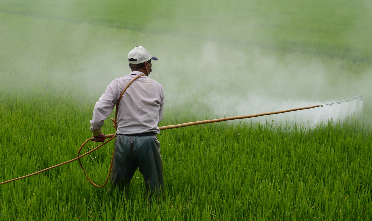 27 Estados-membros não conseguiram chegar a acordo sobre proibição do herbicida considerado potencialmente cancerígeno desde 2015