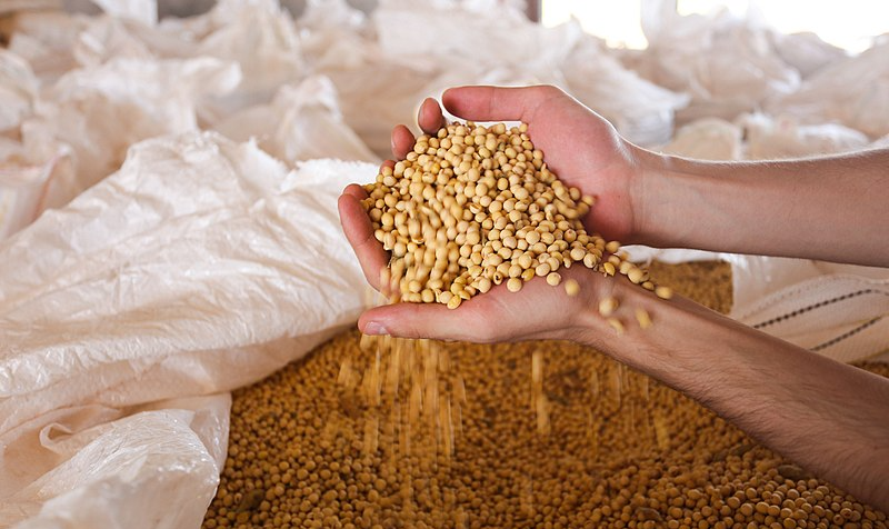 Ministro da Agricultura polonês indicou que controles dos grãos enviados serão realizados no território da Lituânia