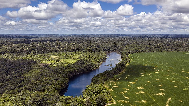 No passado remoto, a Amazônia foi um centro de agrobiodiversidade e um território de abundância