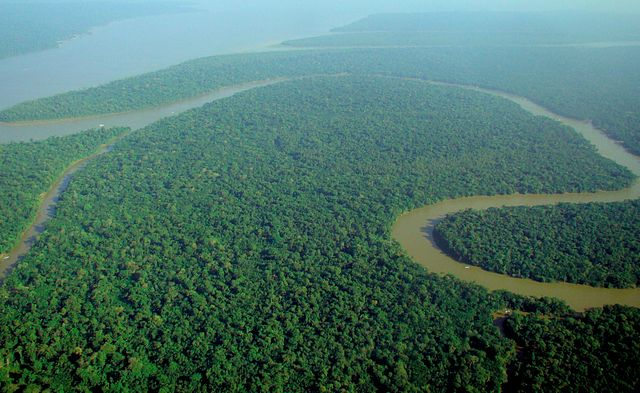 Relatório liga bancos nacionais e estrangeiros a fazendas com ficha suja na Amazônia