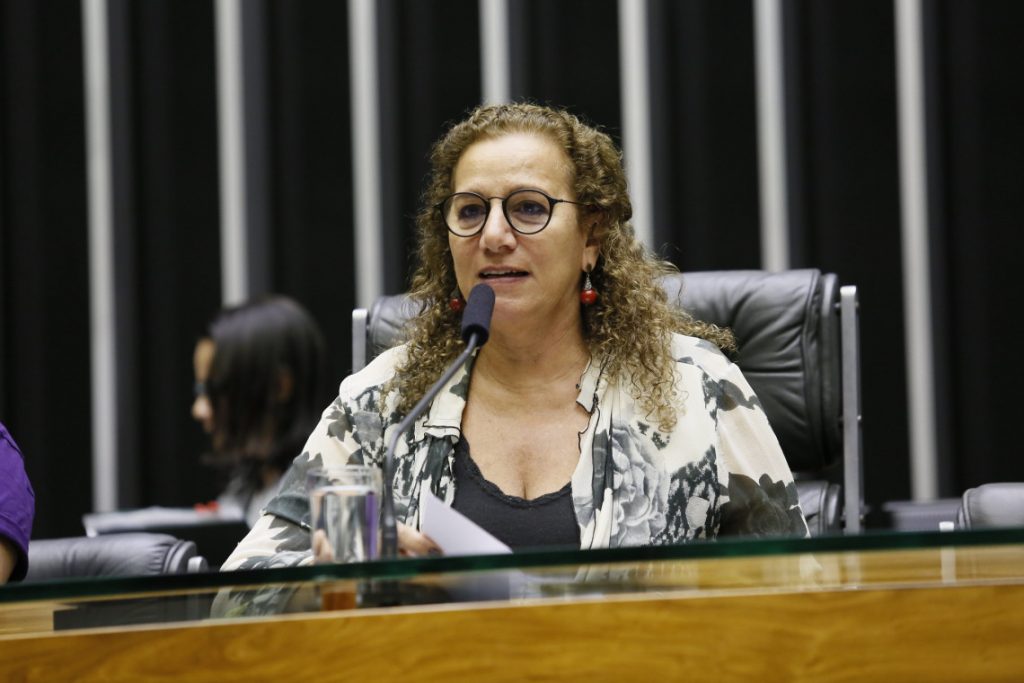 Congressistas de Brasil e dos EUA se reúnem para discutir ataques à democracia