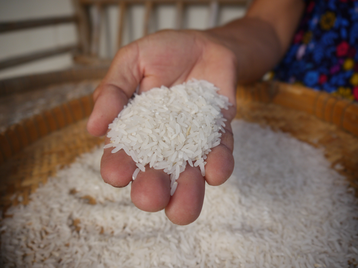 Por conta das enchentes no RS, Brasil vai importar arroz do Mercosul
