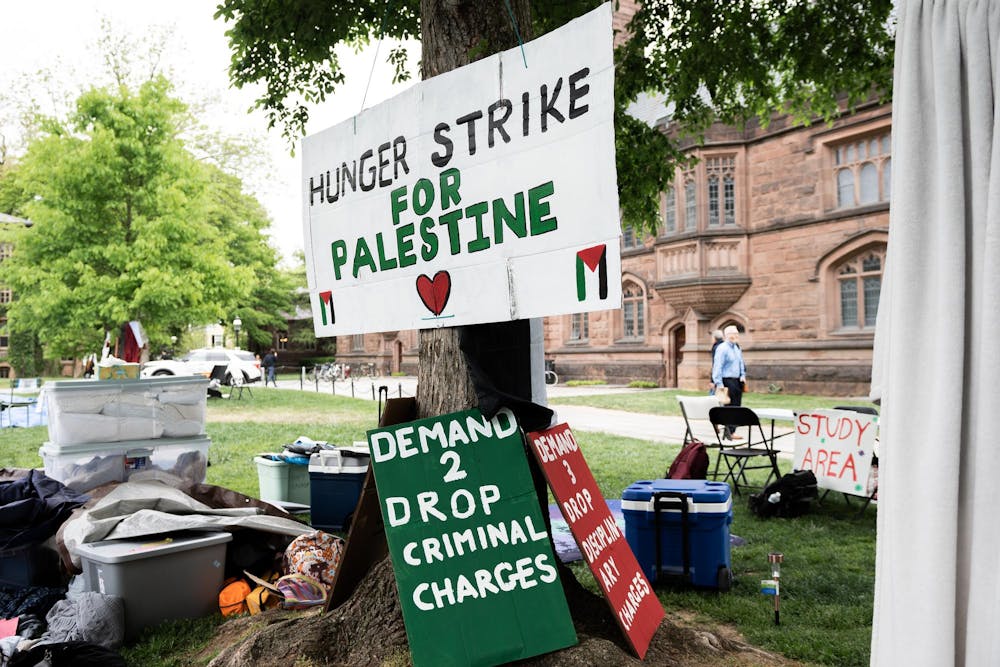 Estudantes da Universidade de Princeton iniciam greve de fome contra massacre israelense em Gaza