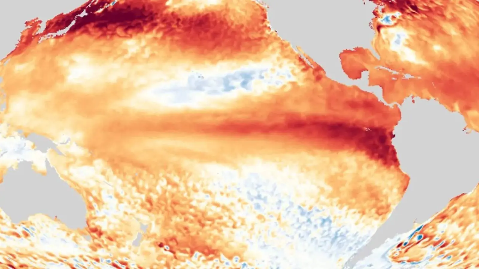 Alerta global: El Niño está avançando rapidamente e com intensidade recorde