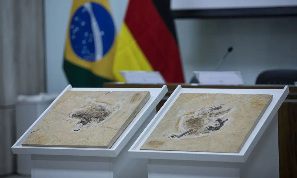 Brasil pede devolução de patrimônio exibido em museus de 14 países