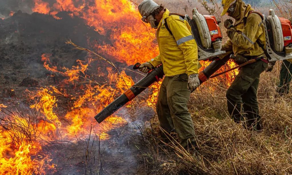 Governo Lula repassa R$ 337 milhões para combate a incêndios e desmatamento no Brasil